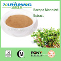 2016Hot Sale GMP Factory Supply Bacopa Monnieri Extract 20% Bacogenin